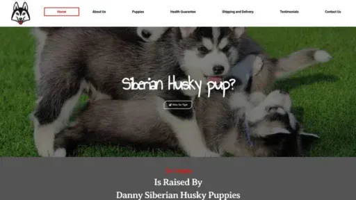 Screenshot of