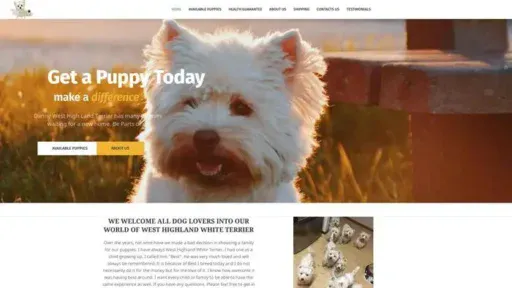 Screenshot of