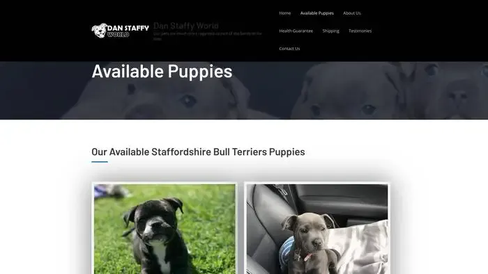 Screenshot of