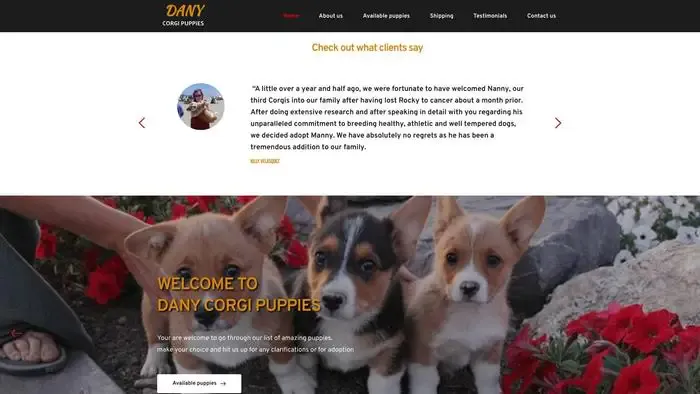 Screenshot of