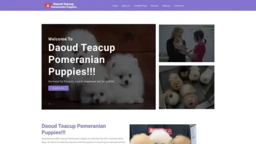 Screenshot of