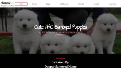 Screenshot of