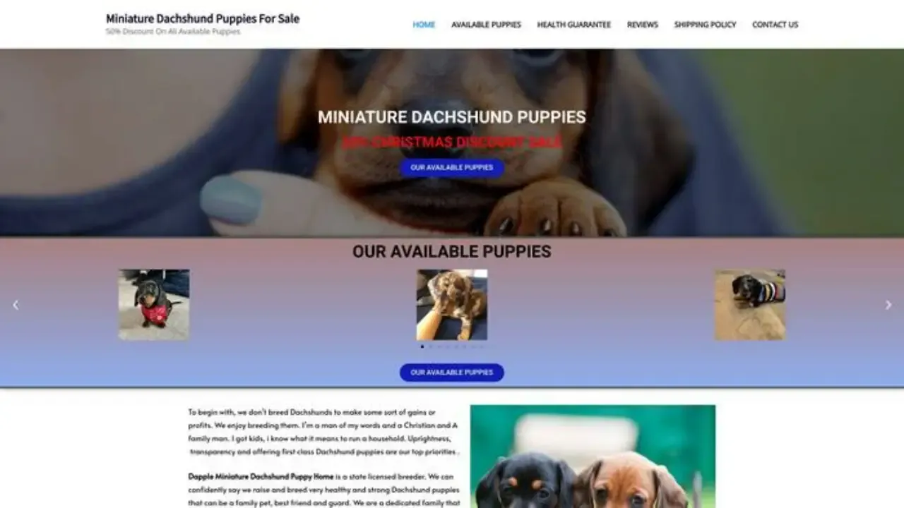 Dappleminiaturedachshunds