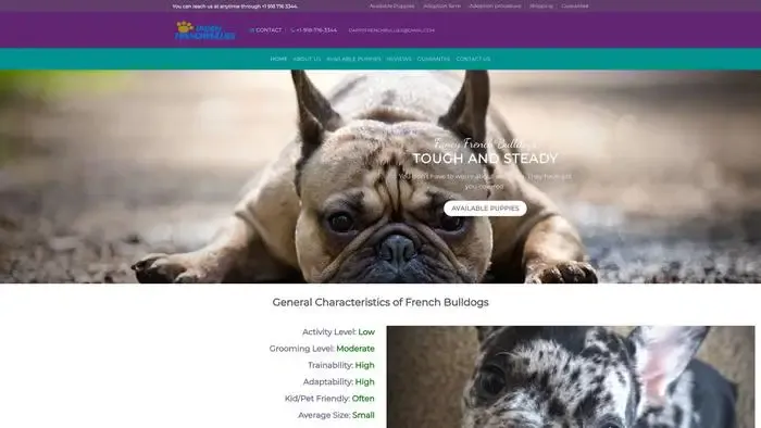 Screenshot of