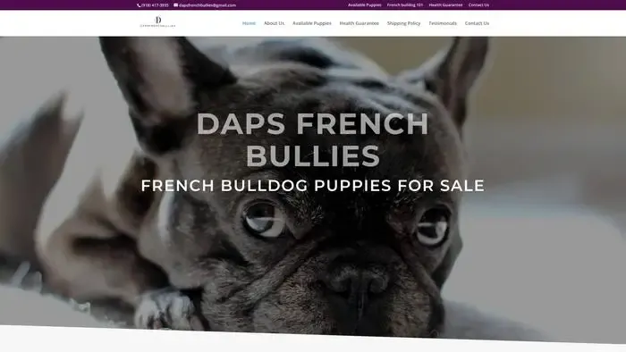 Screenshot of