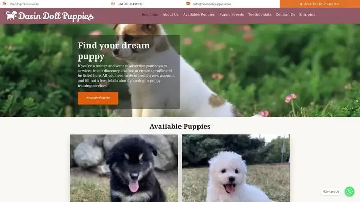 Screenshot of