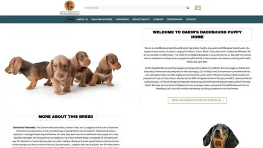 Screenshot of