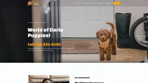 Screenshot of