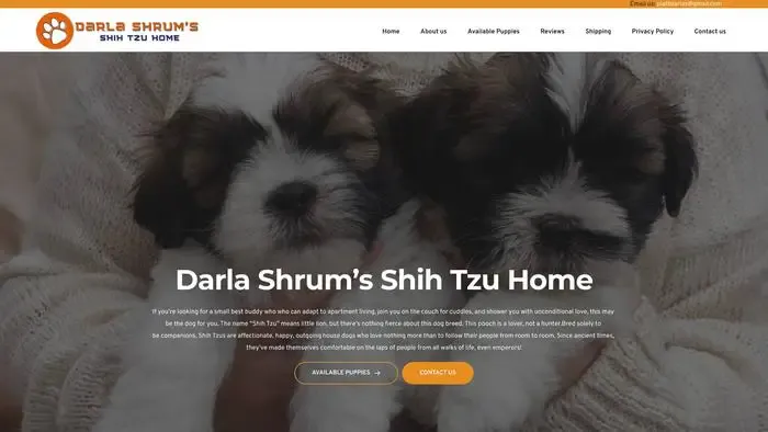 Screenshot of