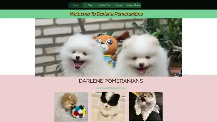 Screenshot of