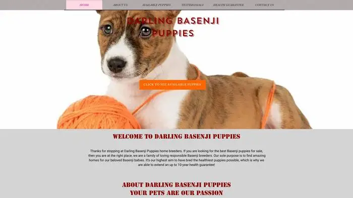 Screenshot of