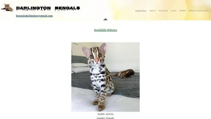 Screenshot of