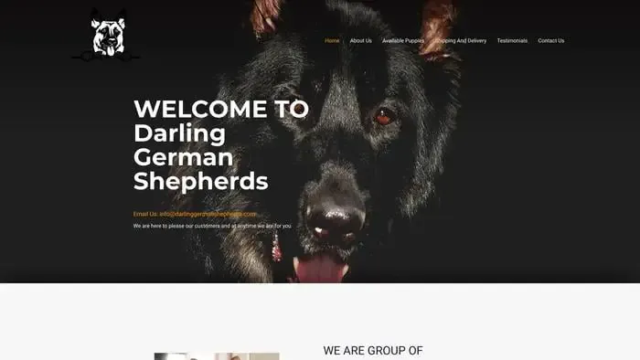 Screenshot of