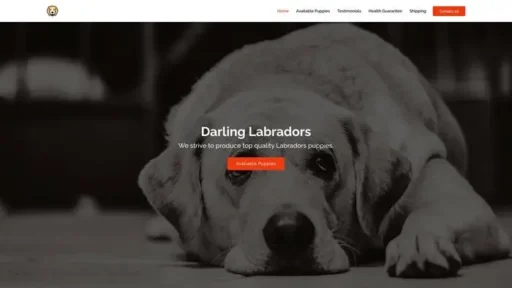 Screenshot of
