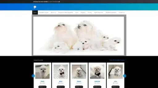 Screenshot of