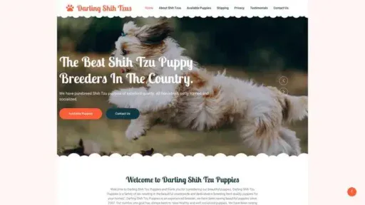 Screenshot of