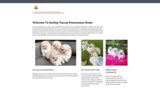 Screenshot of