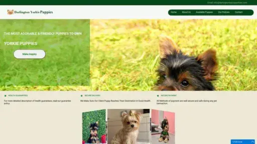Screenshot of