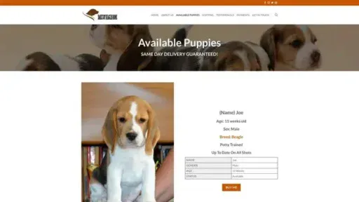Screenshot of