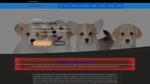 Screenshot of