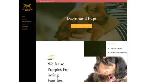 Screenshot of