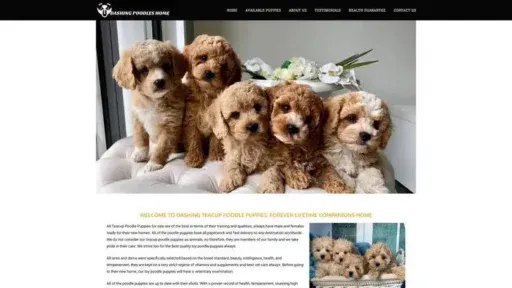 Screenshot of