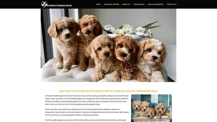Screenshot of