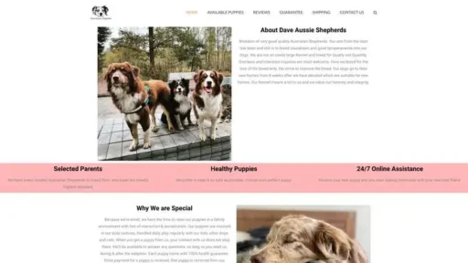 Screenshot of