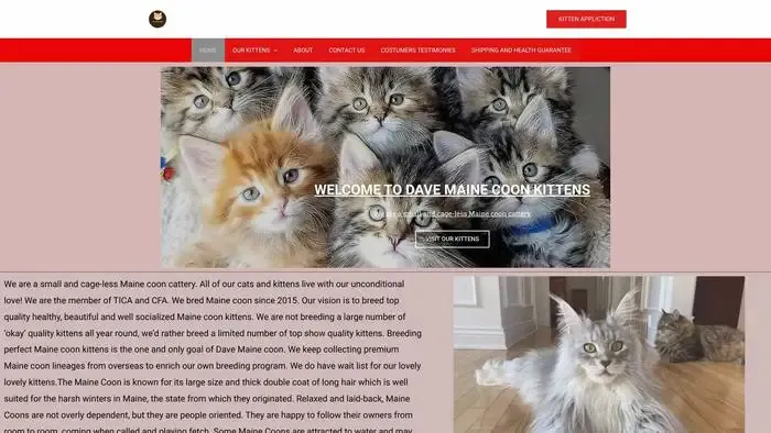 Screenshot of