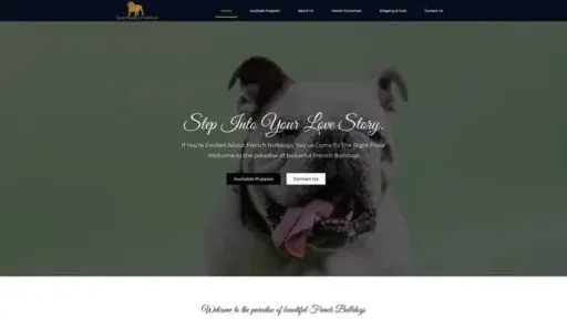 Screenshot of