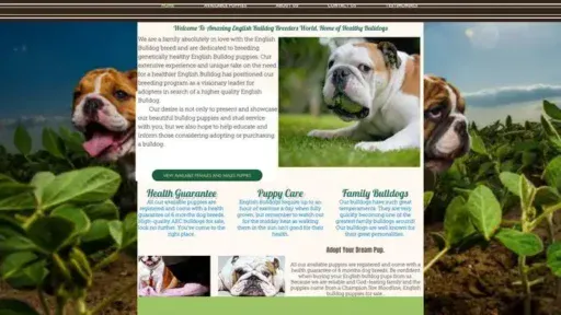 Screenshot of