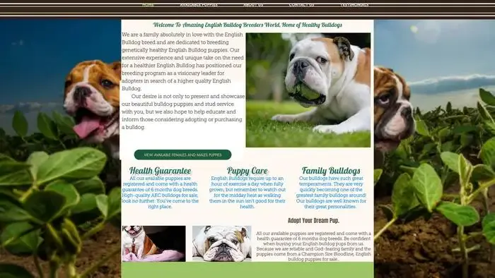 Screenshot of