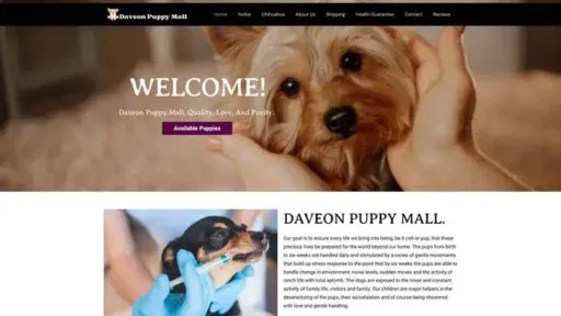 Screenshot of