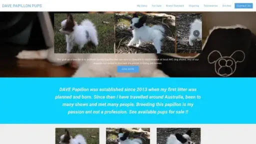 Screenshot of