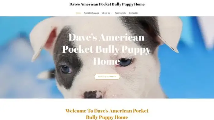 Screenshot of