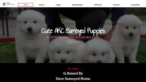 Screenshot of