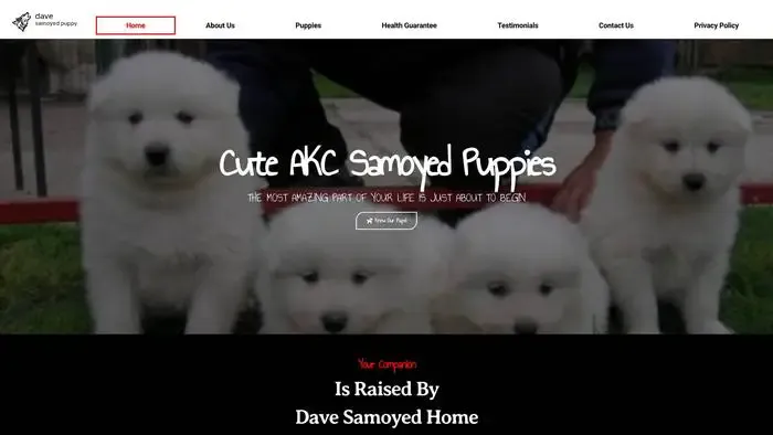 Screenshot of
