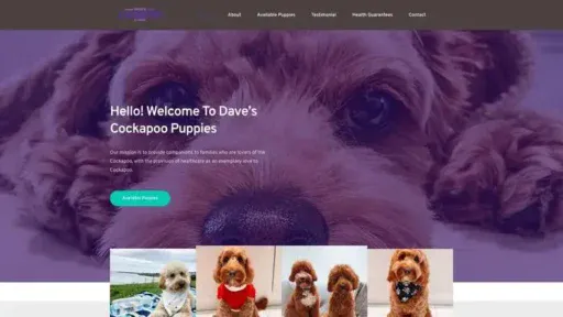 Screenshot of