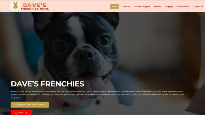 Screenshot of
