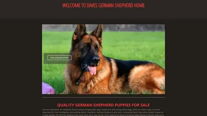 Screenshot of