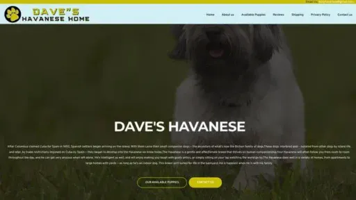 Screenshot of