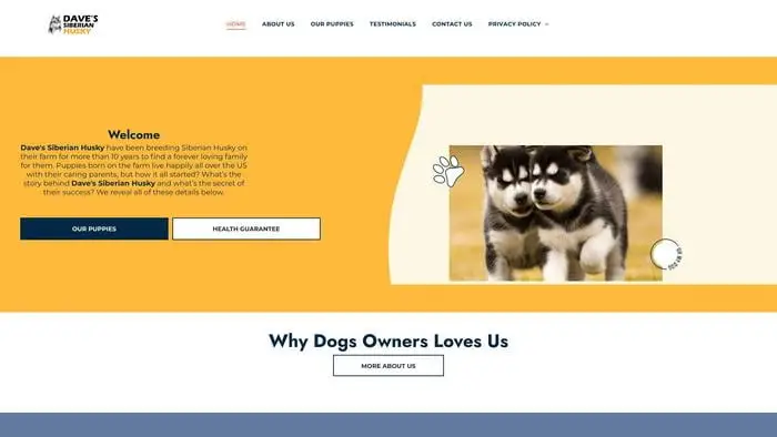 Screenshot of