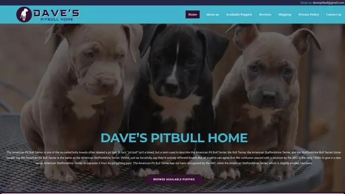 Screenshot of
