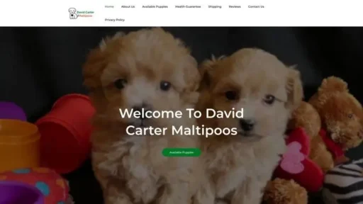 Screenshot of