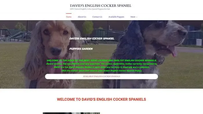 Screenshot of