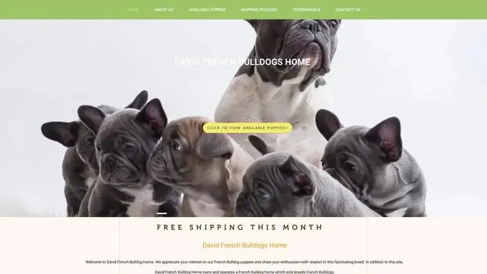 Screenshot of