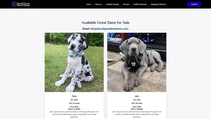 Screenshot of