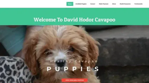 Screenshot of