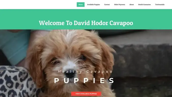 Screenshot of