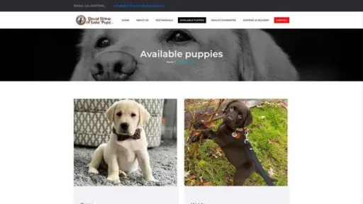 Screenshot of